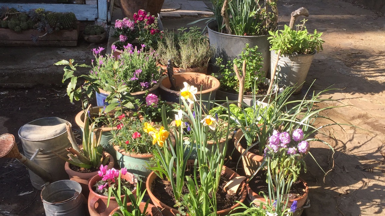 Photo of Outdoor in Castiglione della Pescaia