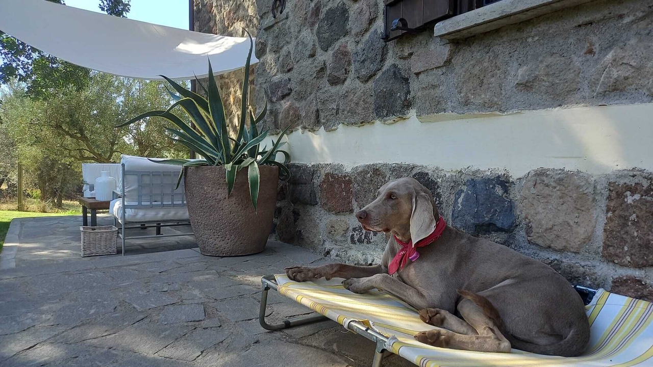 Photo of Others in Viterbo