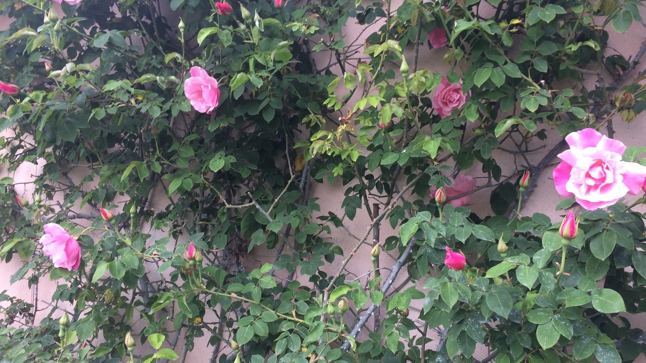 Photo of Outdoor in Manciano