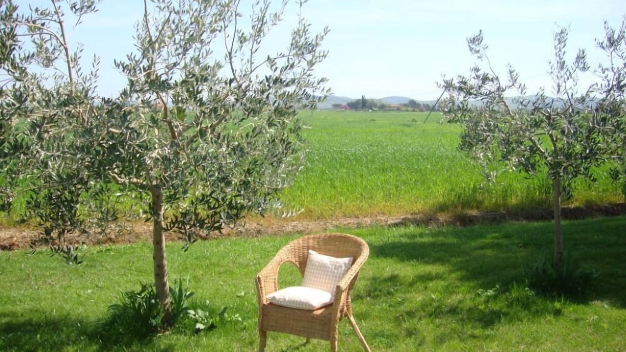 Photo of Outdoor in Manciano