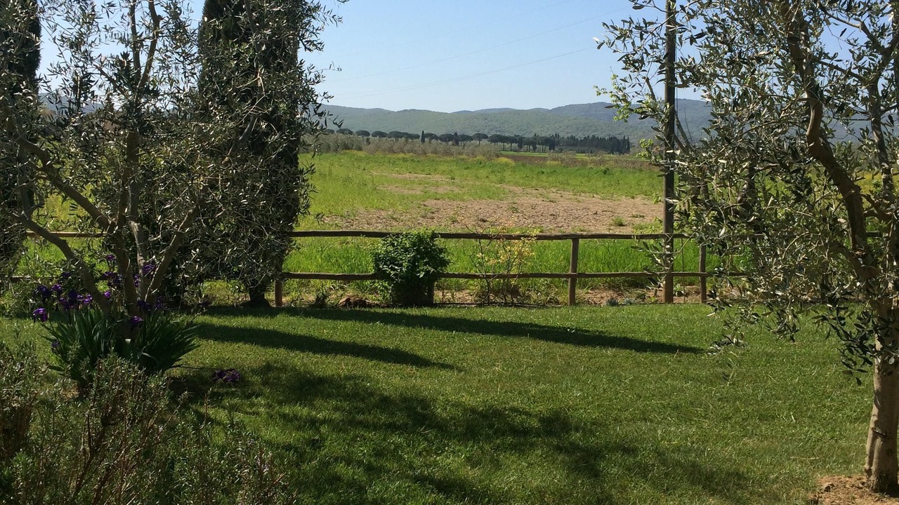 Photo of Outdoor in Manciano