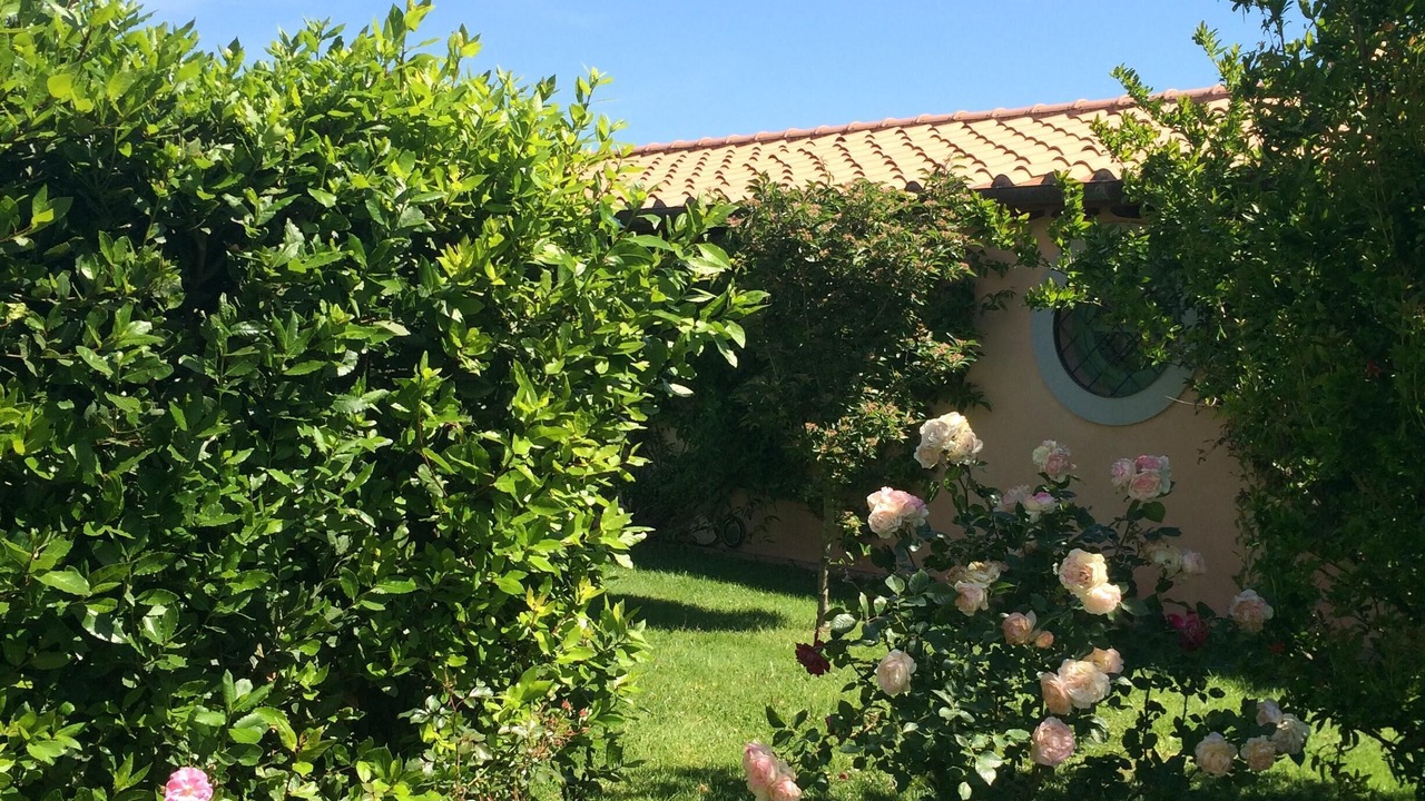 Photo of Outdoor in Manciano