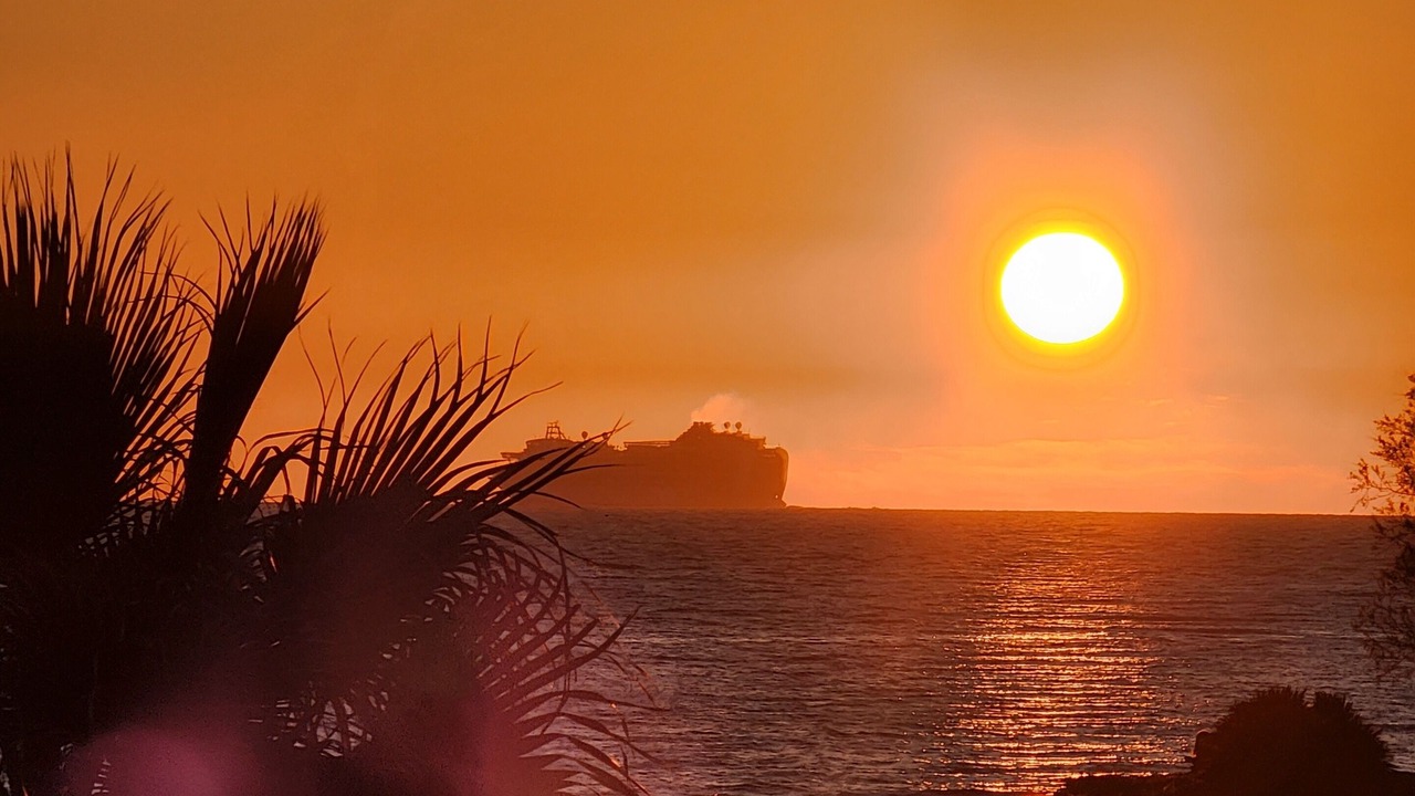 Photo of Outdoor in Civitavecchia