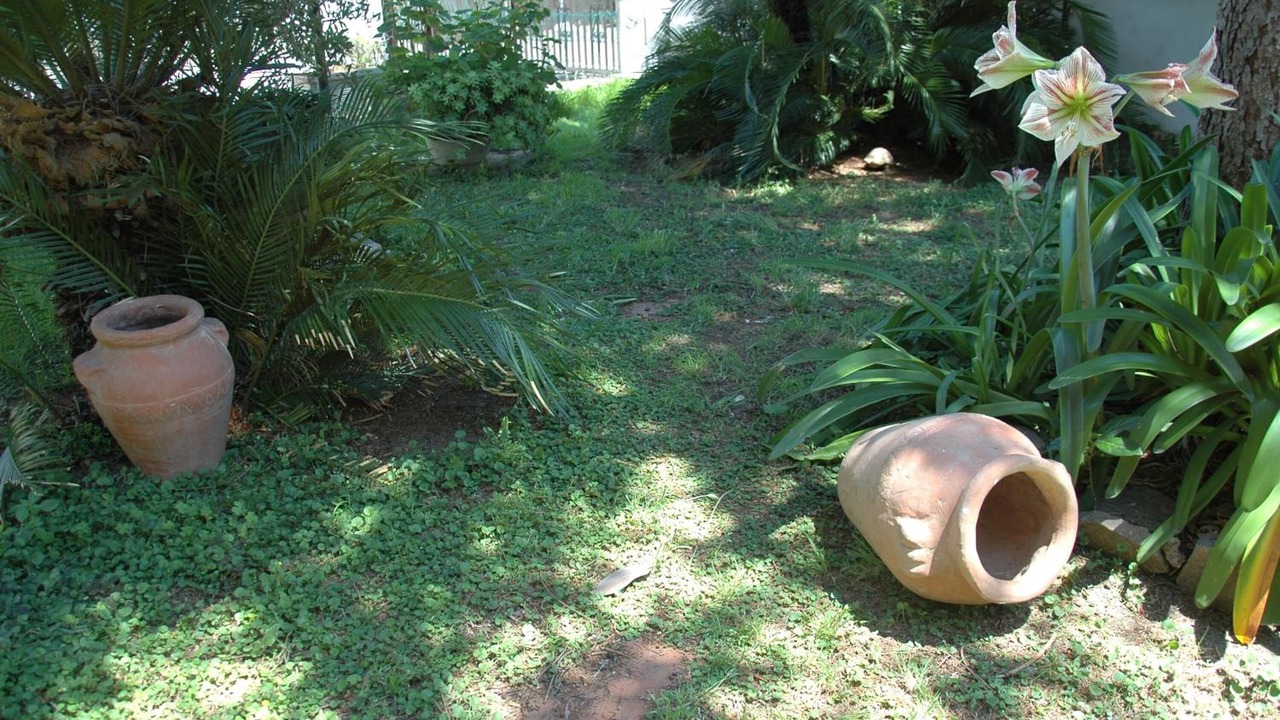 Photo of Outdoor in Santa Maria delle Mole
