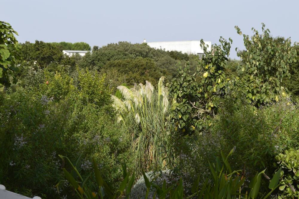 Photo of Outdoor in Noci