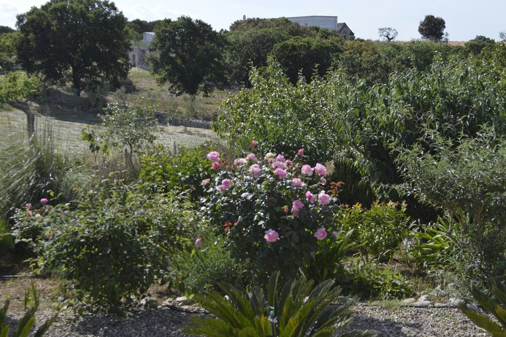 Photo of Outdoor in Noci