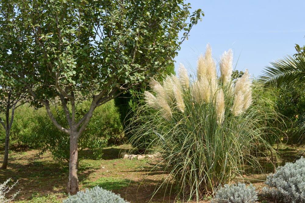 Photo of Outdoor in Noci