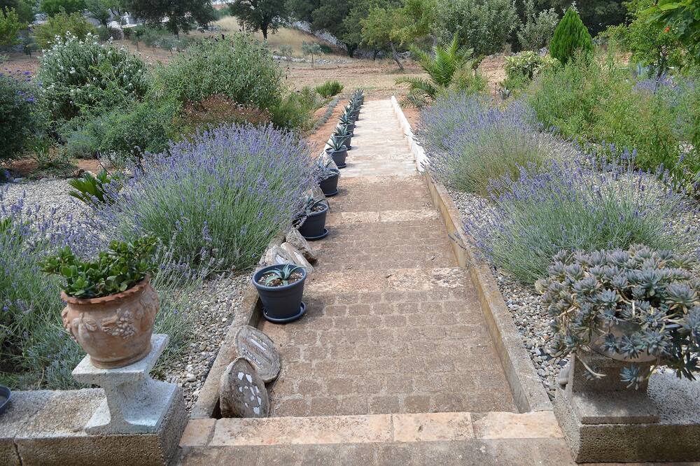 Photo of Outdoor in Noci