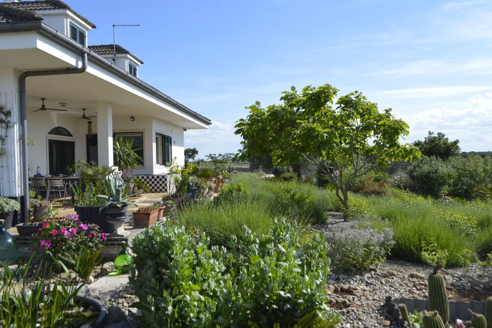 Photo of Outdoor in Noci