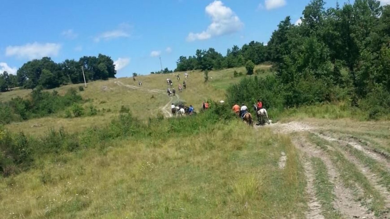Photo of Outdoor in Morcone