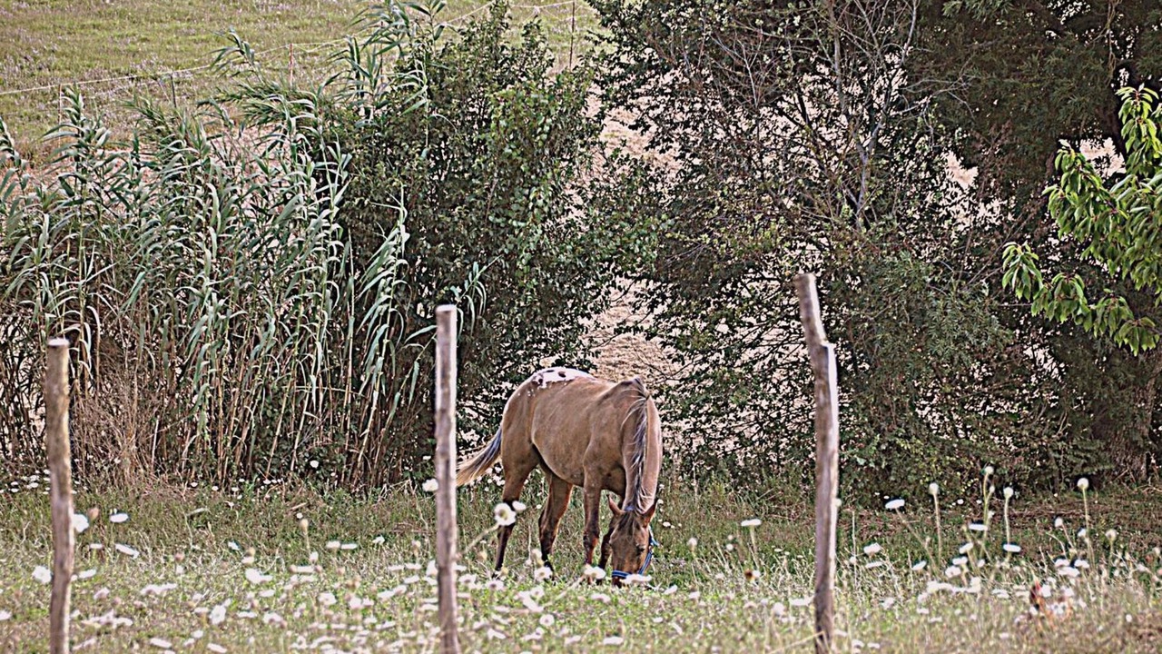 Photo of Outdoor in Morcone
