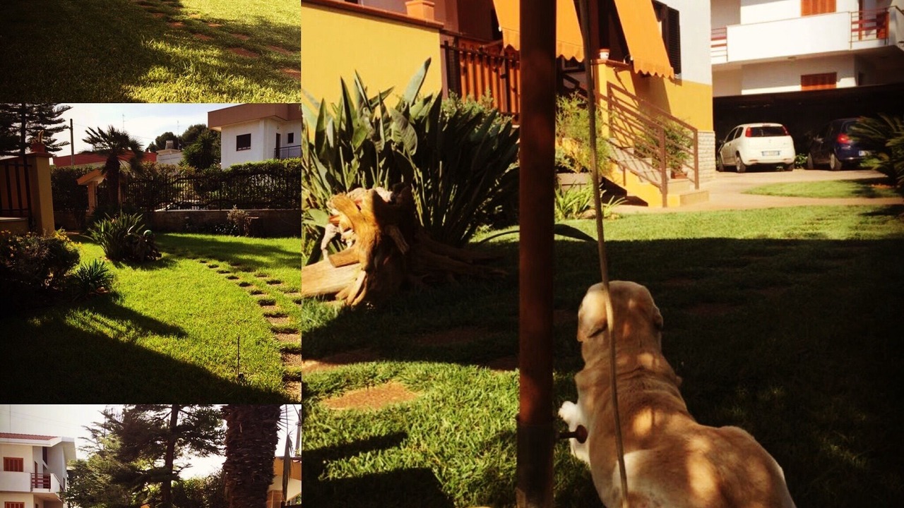 Photo of Outdoor in Palese