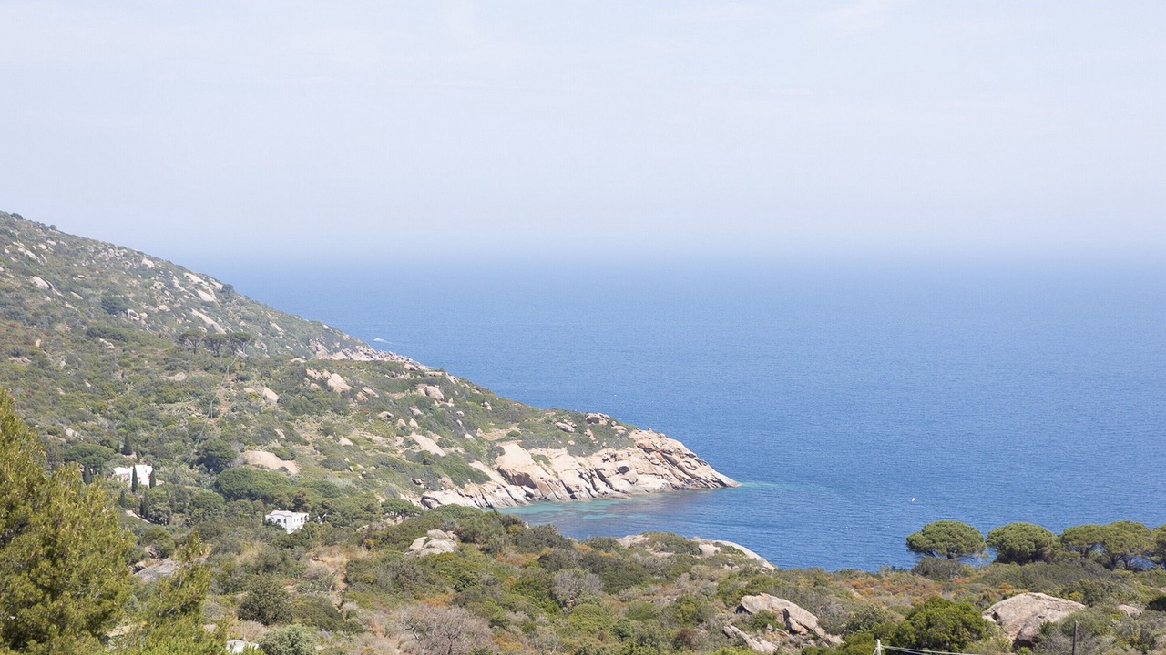 Photo of Bedroom in Isola del Giglio