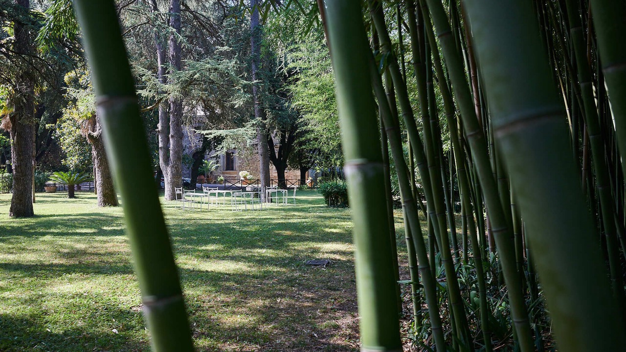 Photo of Outdoor in Ciconia