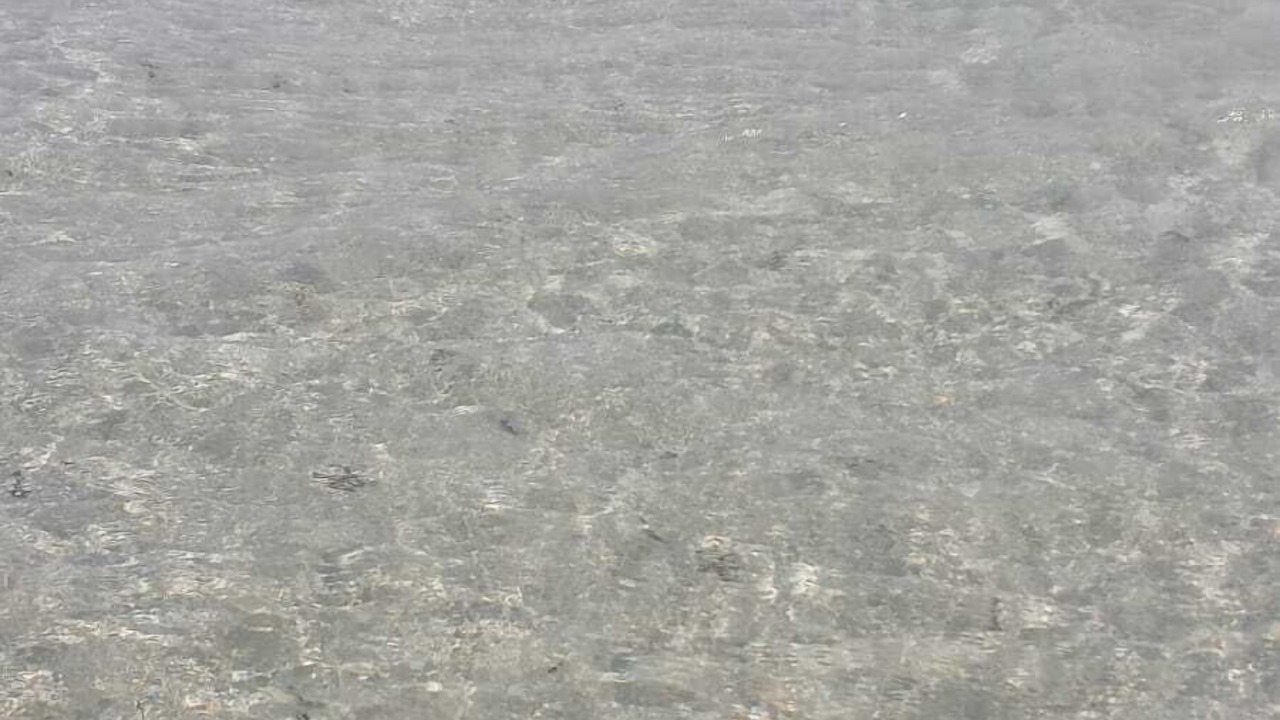 Photo of Others in San Vito dei Normanni