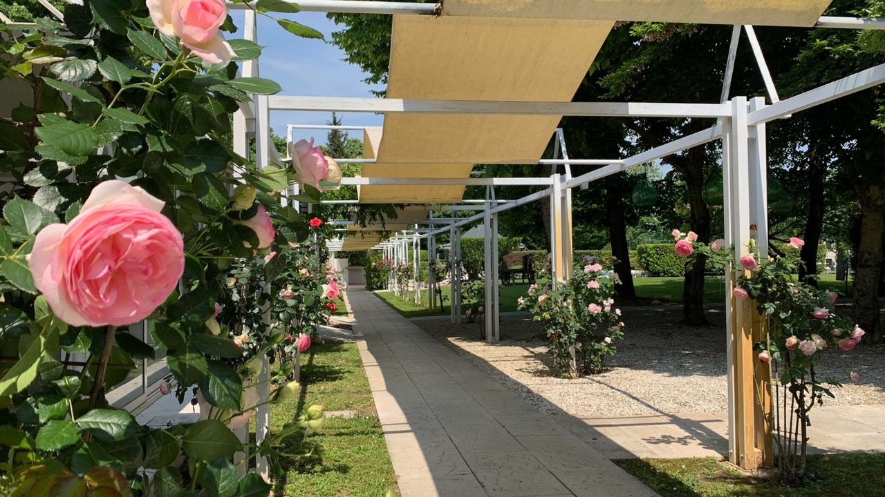 Photo of Outdoor in Mirano