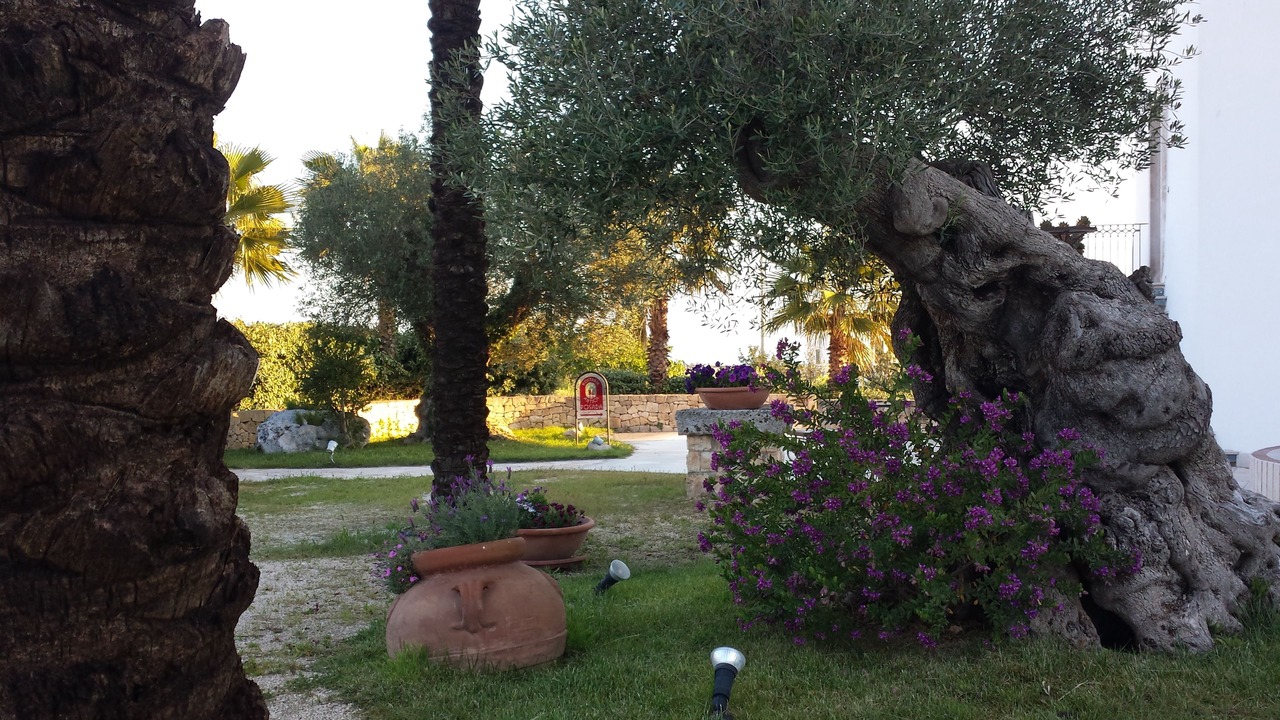 Photo of Outdoor in Ostuni