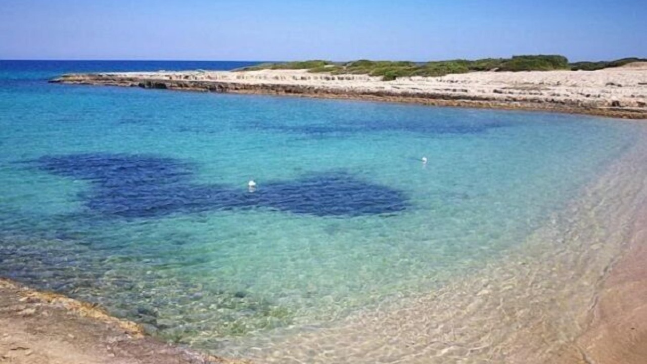 Photo of Others in Ostuni