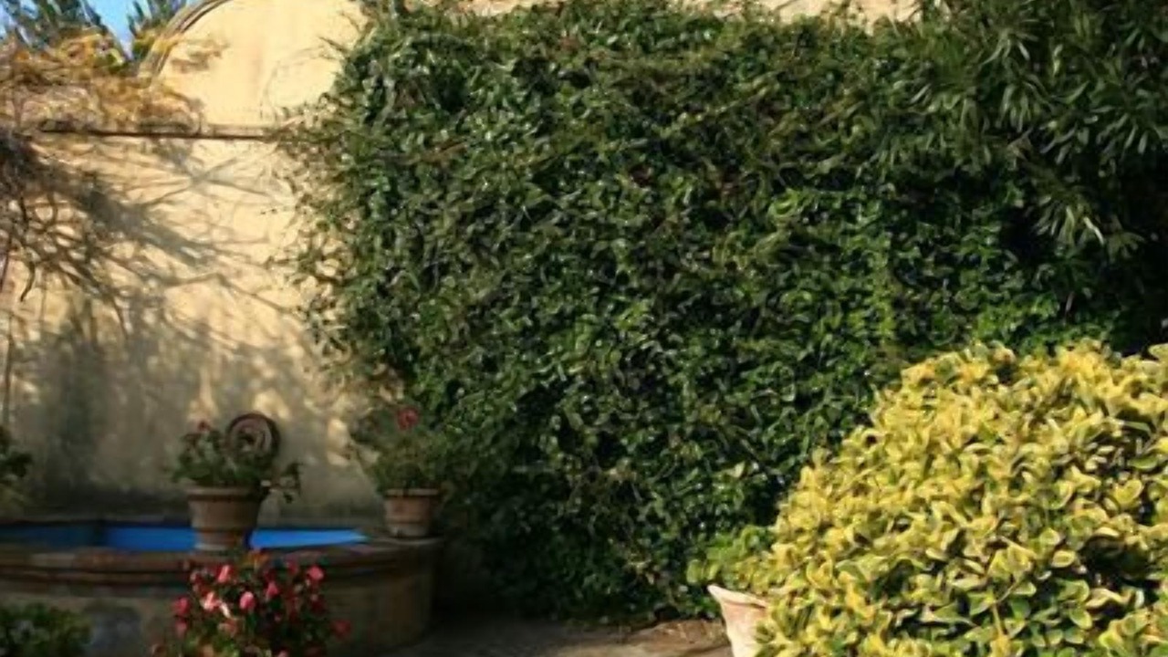 Photo of Outdoor in Spello