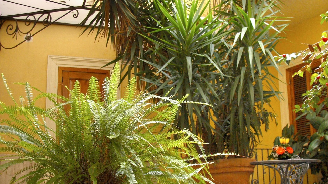 Photo of Outdoor in San Lorenzo