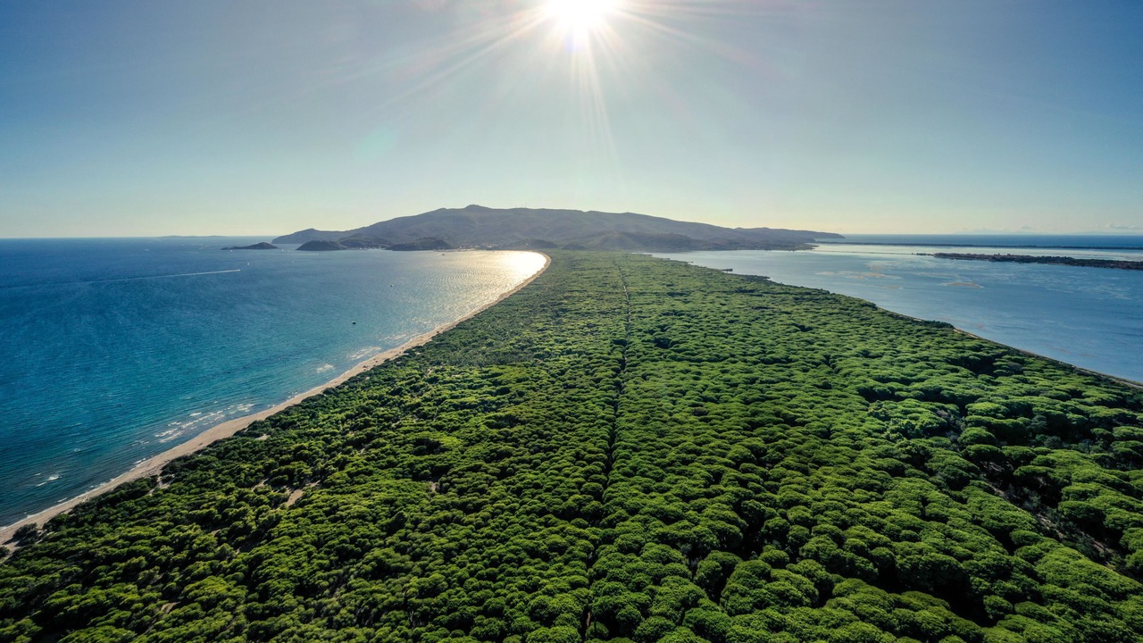 Photo of Others in Orbetello