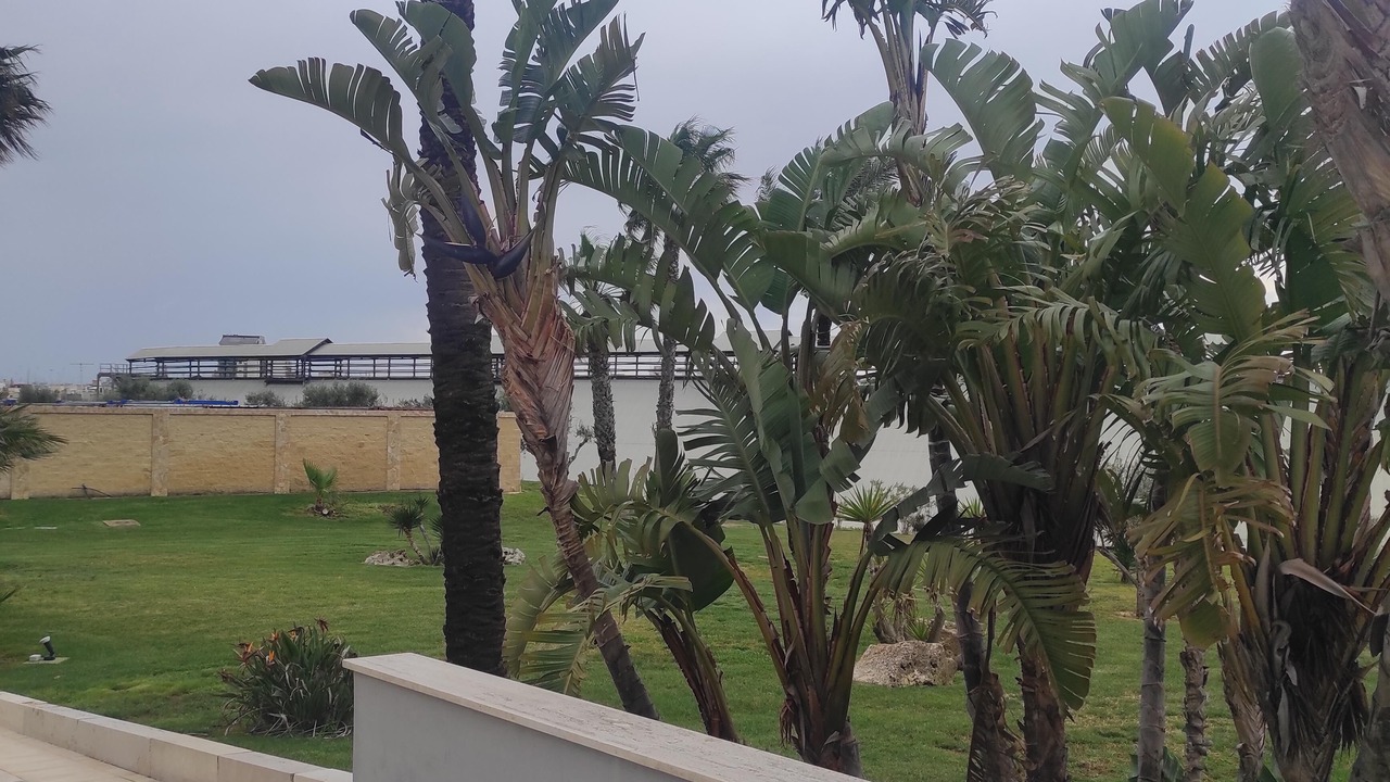 Photo of Outdoor in Brindisi