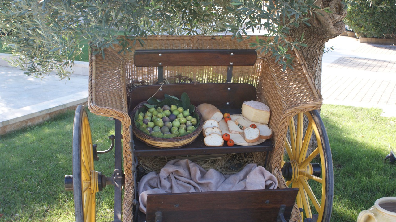 Photo of Others in Martina Franca