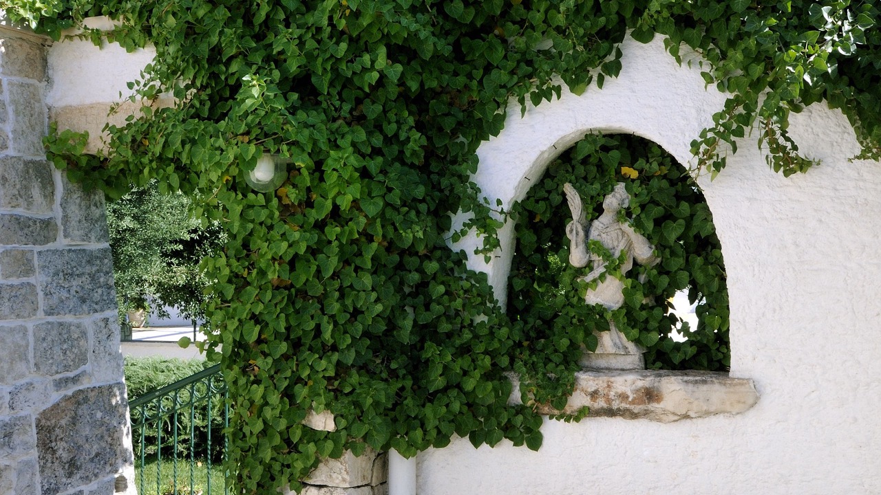 Photo of Others in Martina Franca