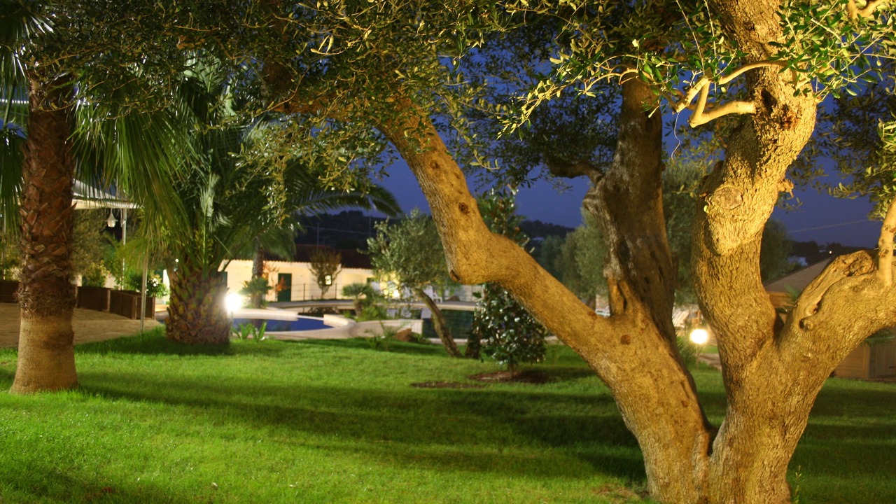 Photo of Outdoor in Ostuni