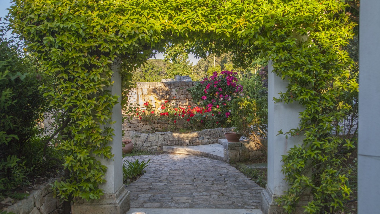 Photo of Outdoor in Martina Franca