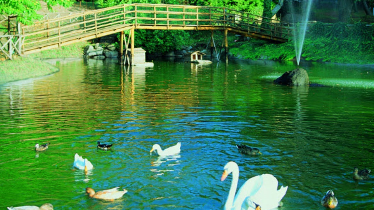 Photo of Outdoor in San Martino Al Cimino