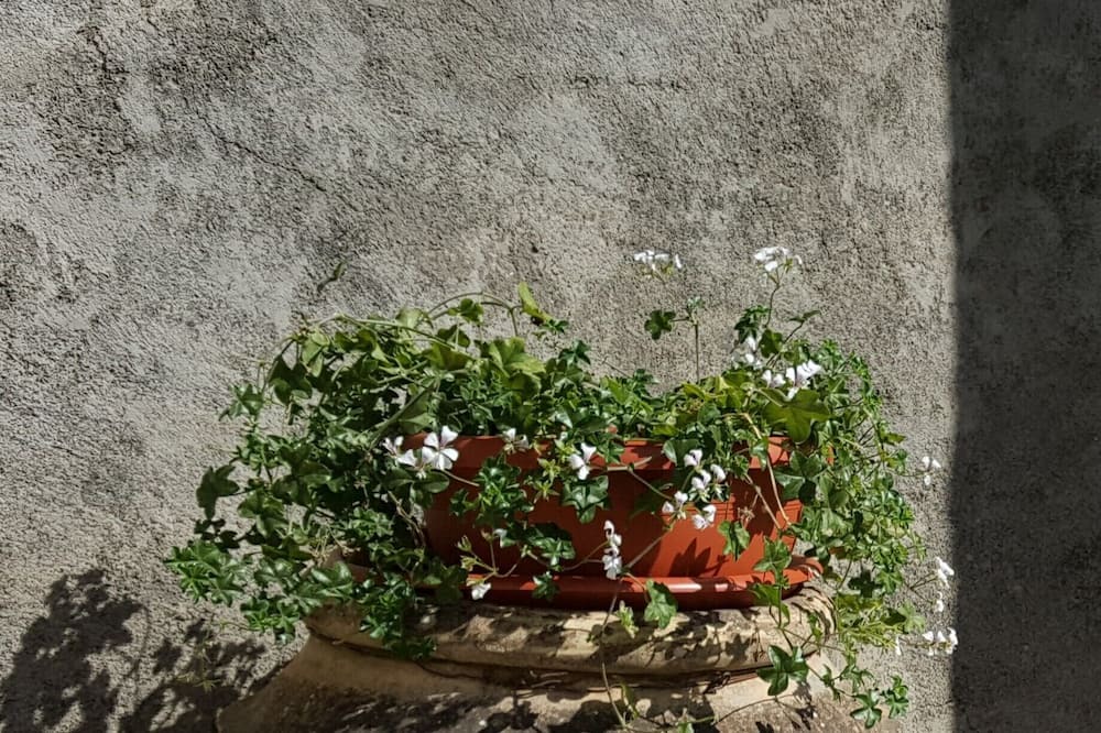 Photo of Others in Capodimonte