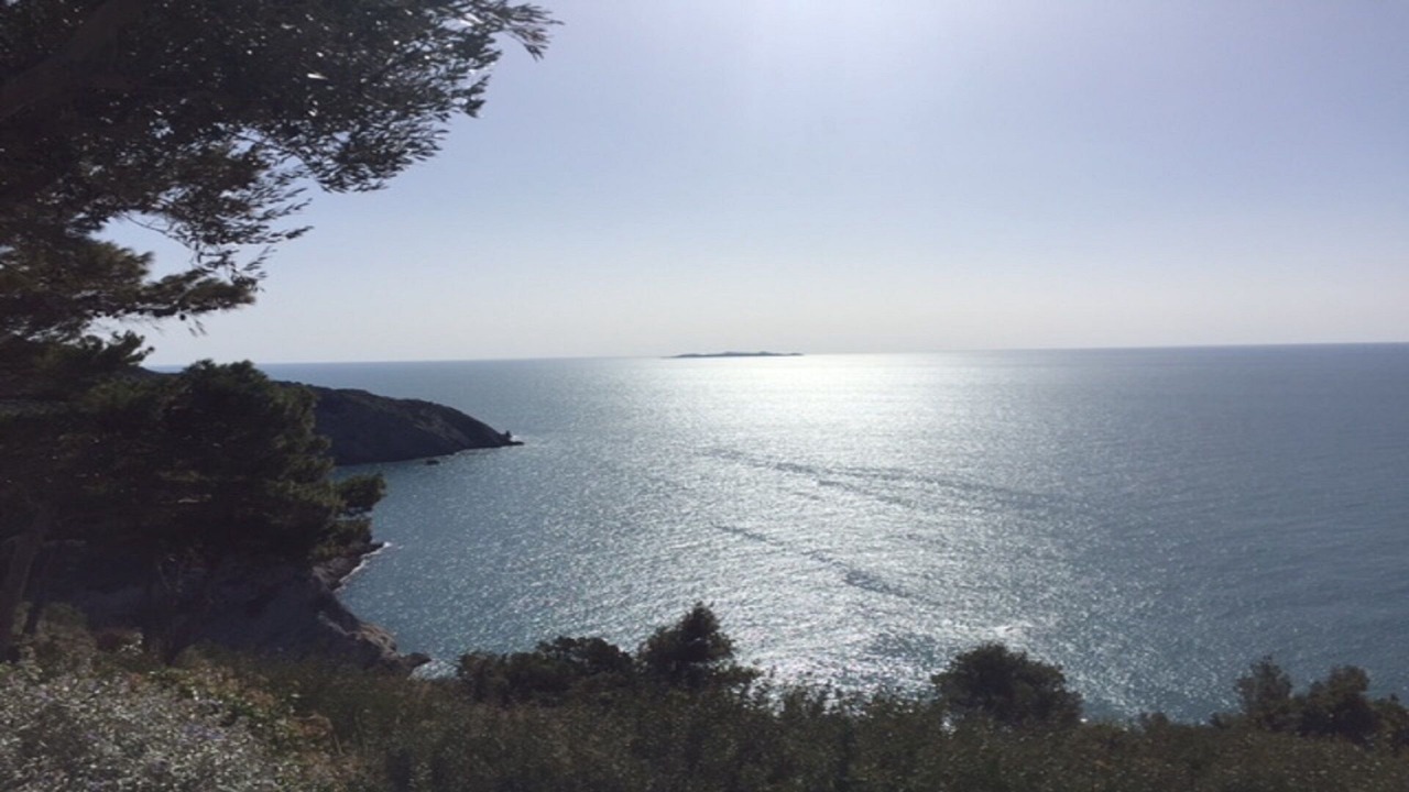 Photo of Others in Cala Piccola