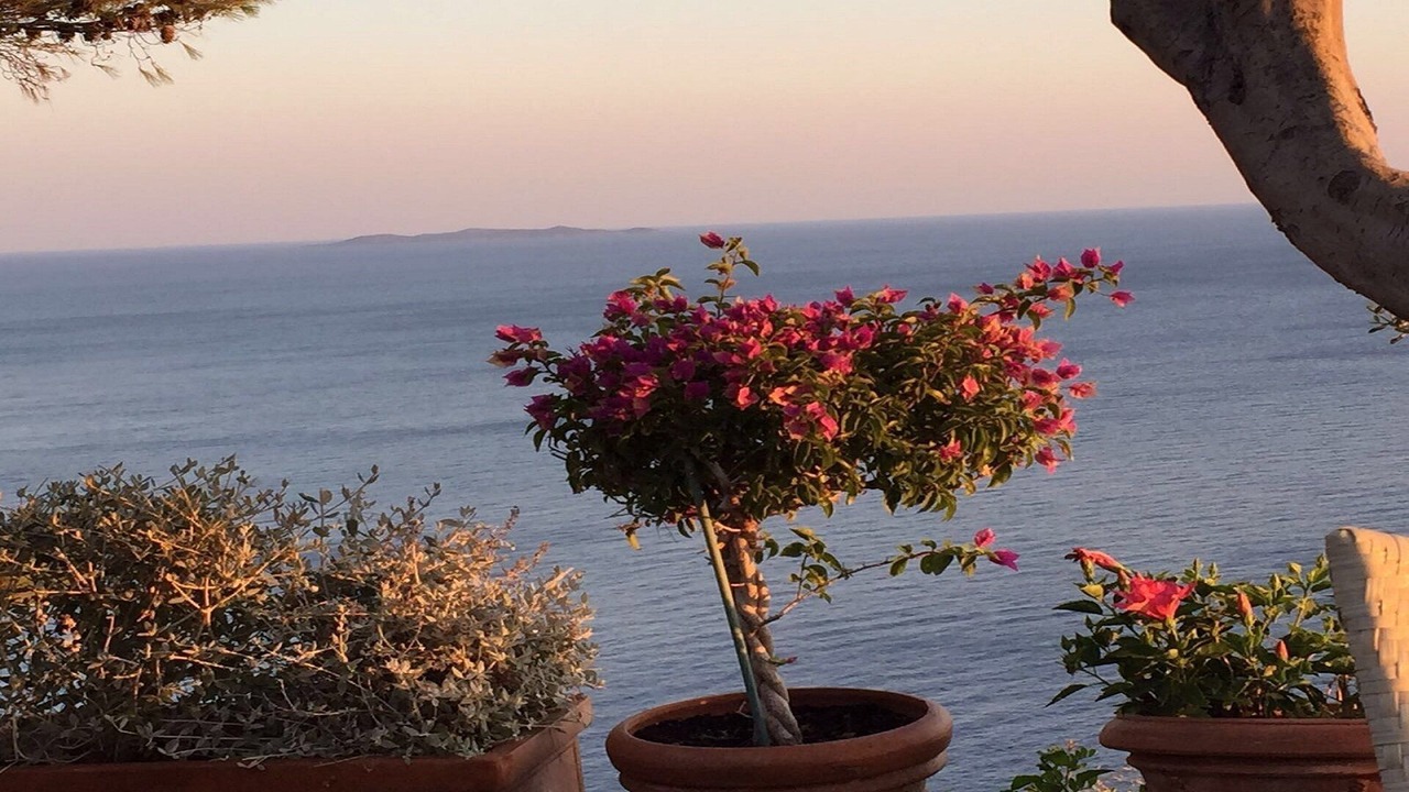 Photo of Outdoor in Cala Piccola