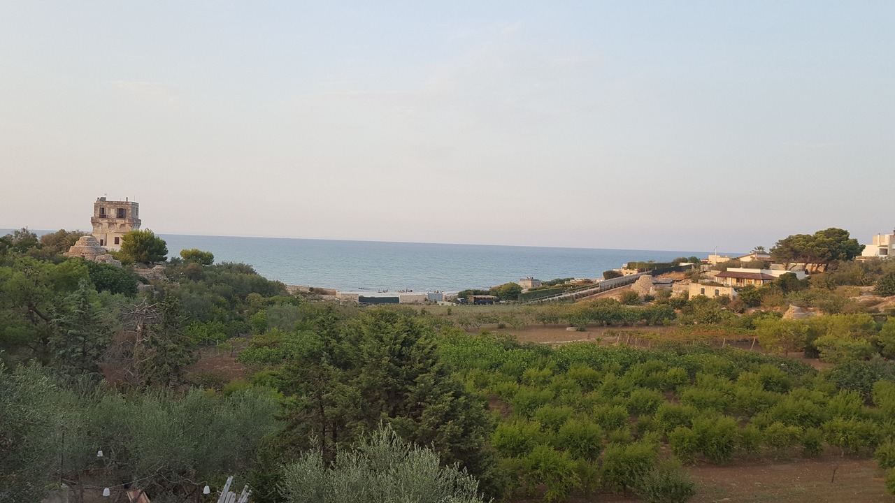Photo of Others in Trani