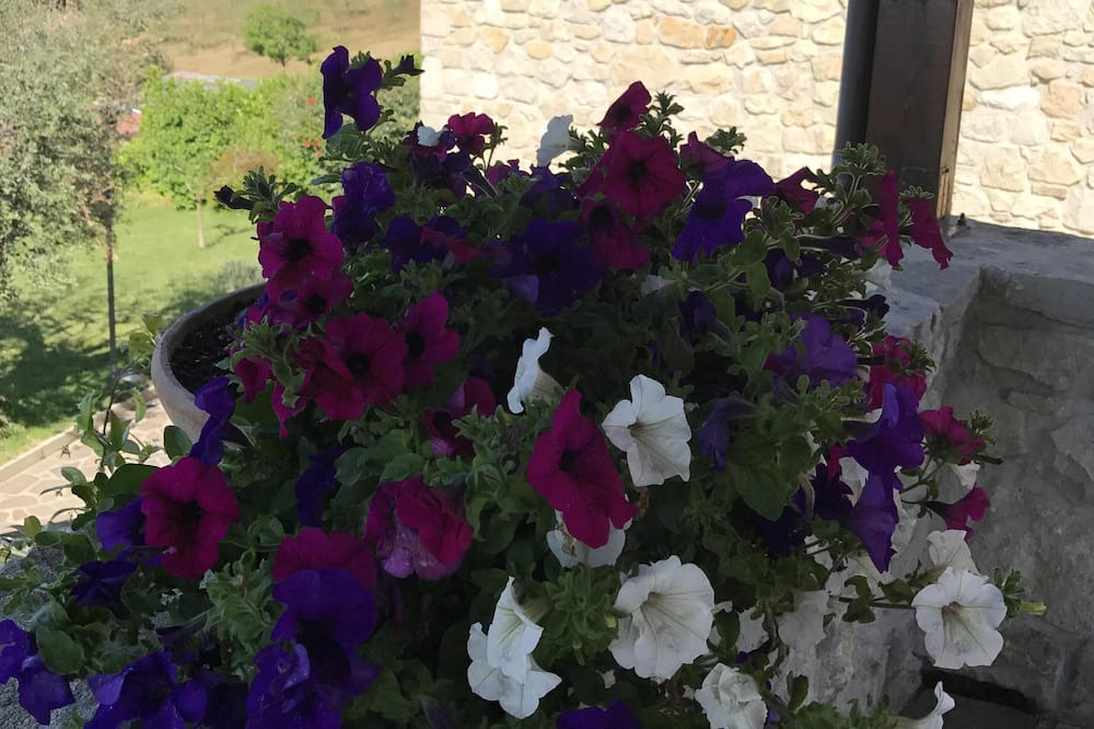 Photo of Outdoor in Montefalcione