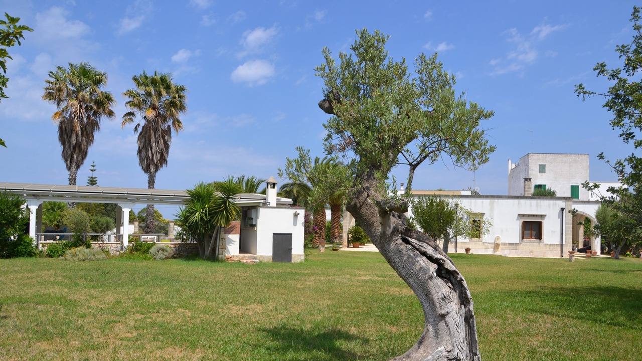 Photo of Outdoor in Fasano