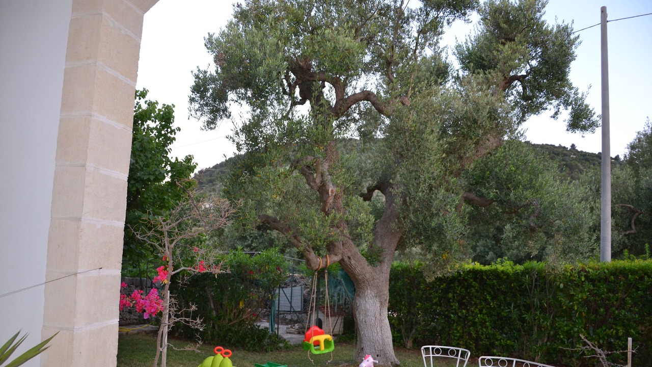 Photo of Outdoor in Fasano