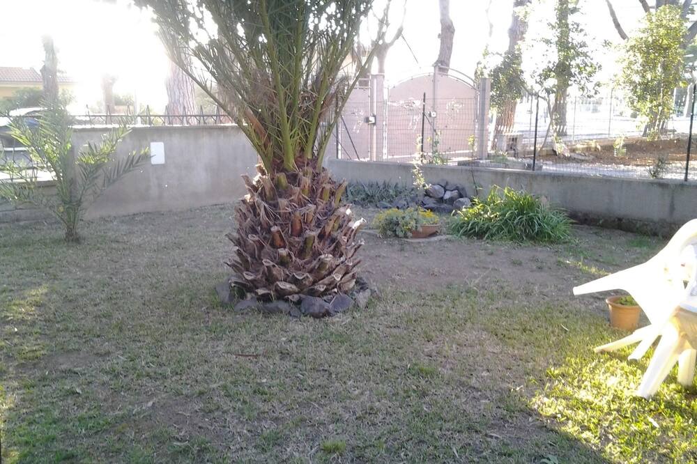 Photo of Outdoor in Lido di Tarquinia