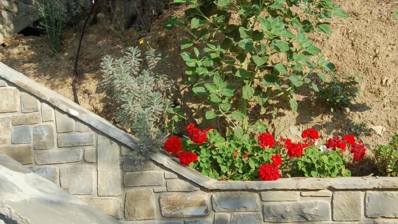 Photo of Outdoor in Pollica