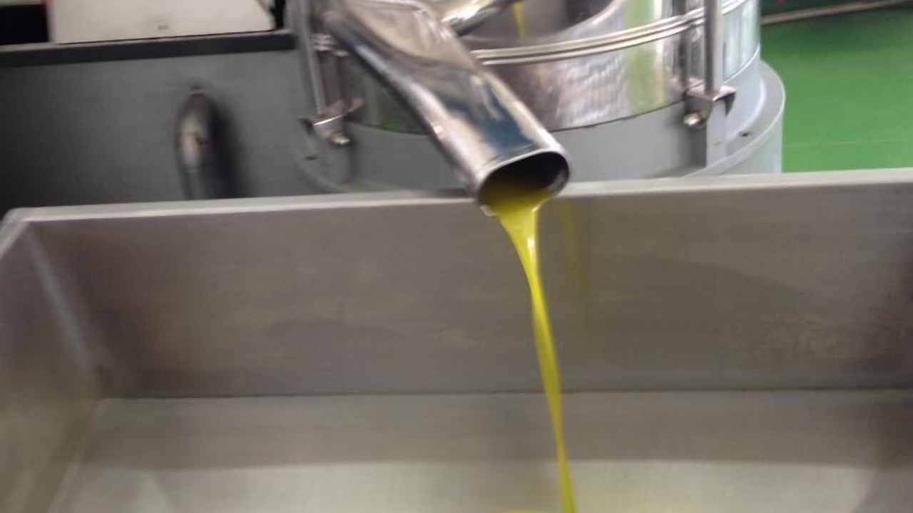 Photo of Others in Cicerale