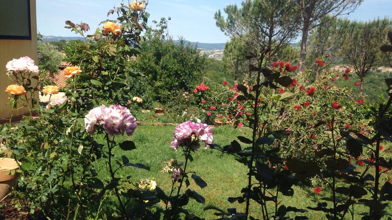 Photo of Outdoor in Poggio Murella