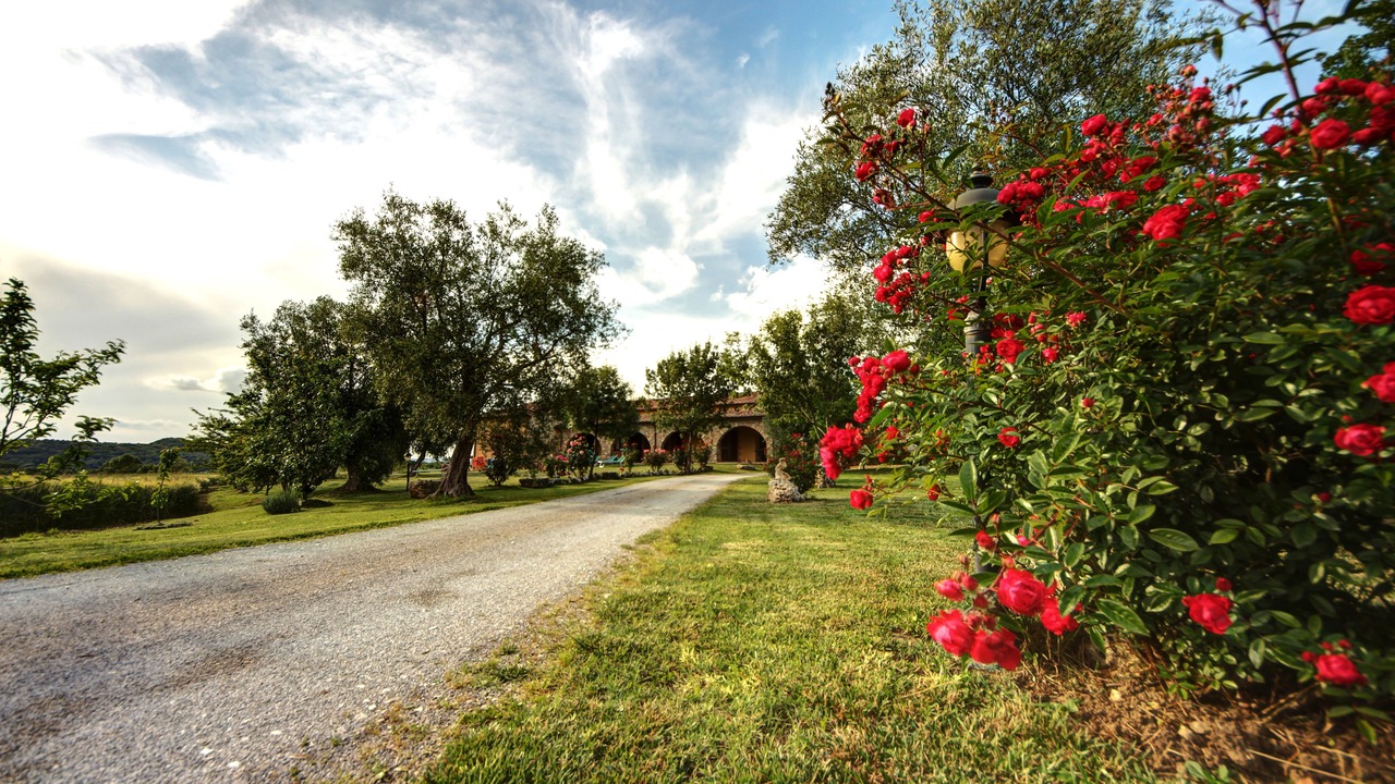 Photo of Outdoor in Saturnia