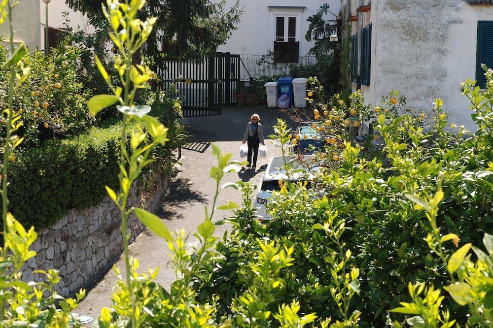 Photo of Outdoor in Seiano