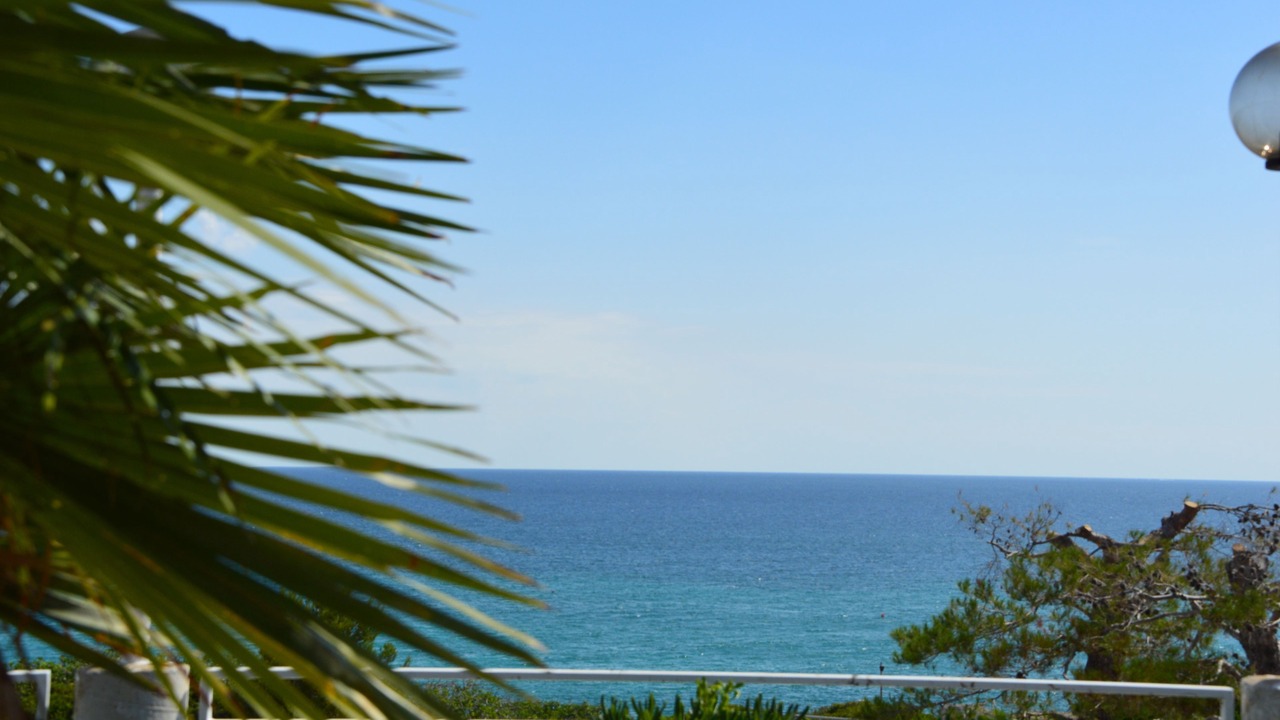 Photo of Others in Capitolo