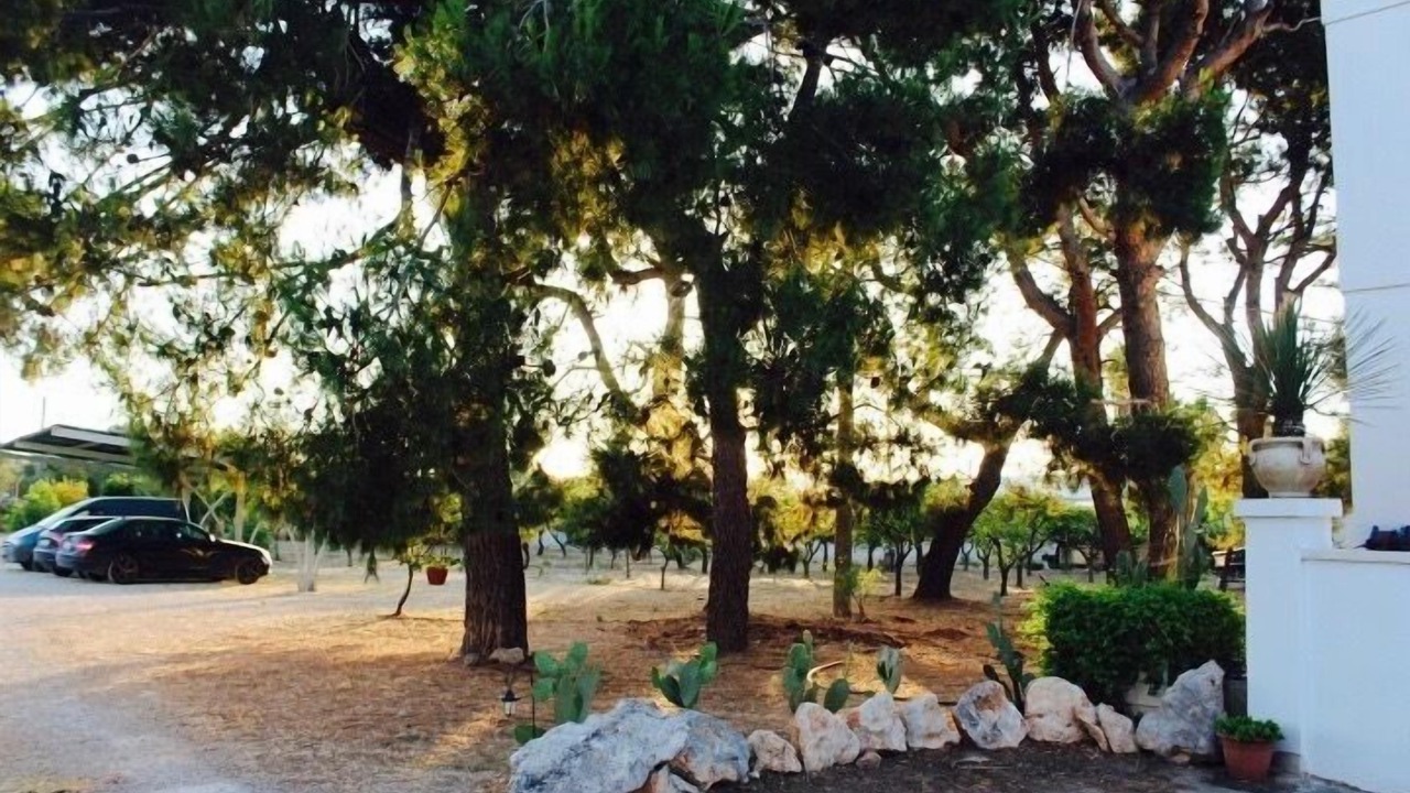 Photo of Outdoor in Leverano