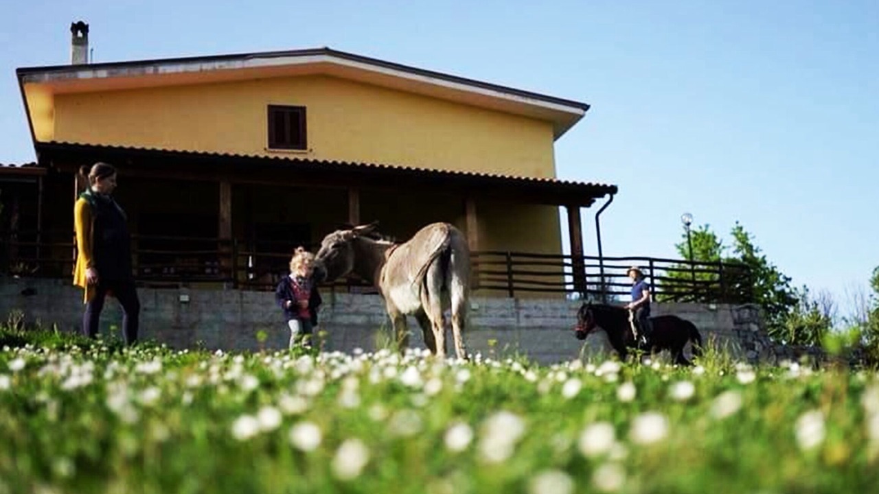Photo of Outdoor in San Giovanni a Piro