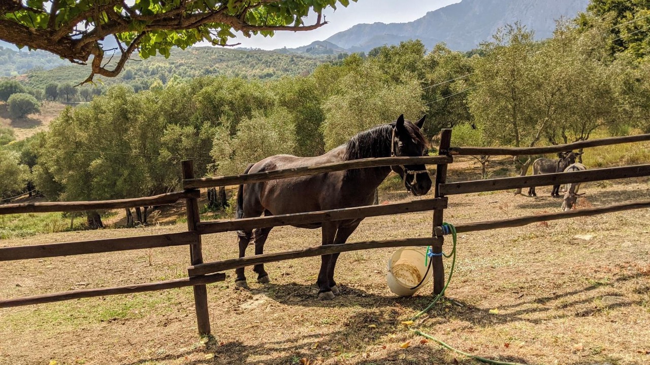 Photo of Outdoor in San Giovanni a Piro