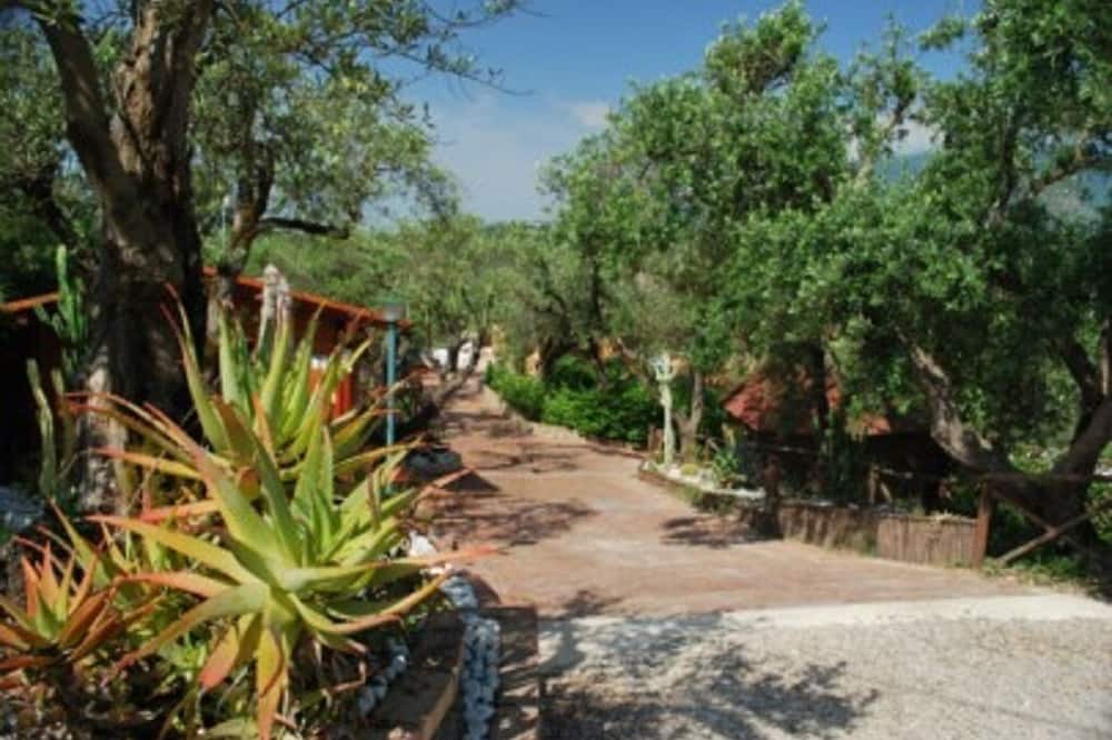 Photo of Outdoor in Stella Cilento