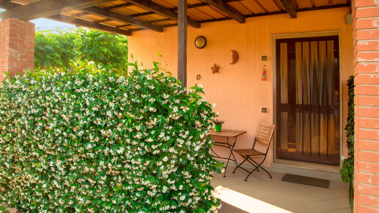 Photo of Outdoor in Grosseto